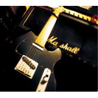 LOSTAGE / Guitar ( CD )