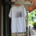 画像1: LOSTAGE /  CENTIPEDE T-SHIRT (WHITE) (1)