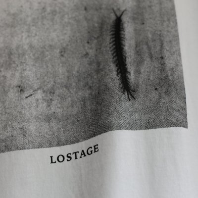 画像2: LOSTAGE /  CENTIPEDE T-SHIRT (WHITE)